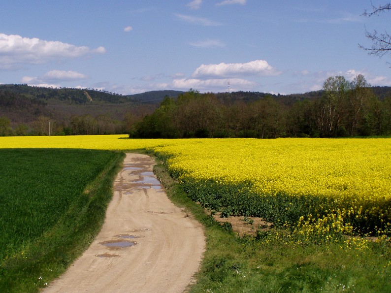 Valle del Farma e Stagno della Troscia: luoghi meravigliosi!